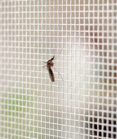 shutterstock_1447349708